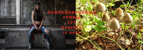 дживик Алексин